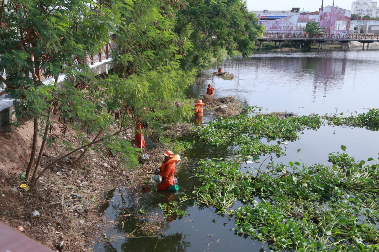 homens limpando as margens da lagoa de messejana